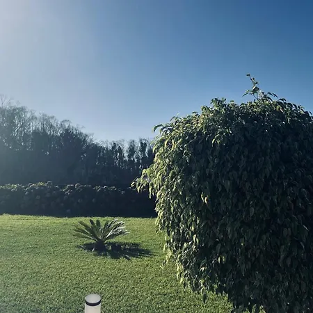 Do Monte * Porto Moniz