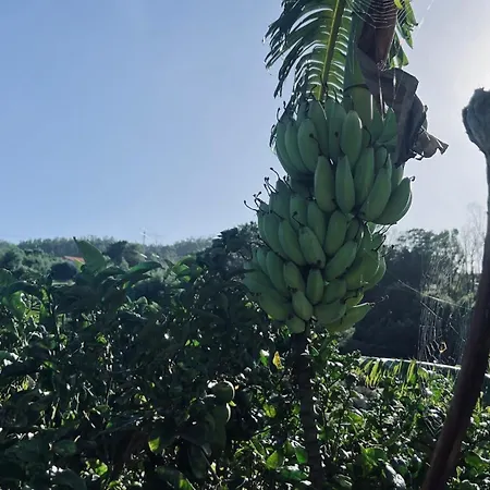 Do Monte * Порту-Мониш