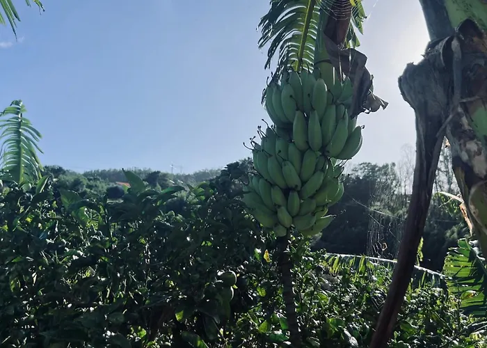 Do Monte * Porto Moniz